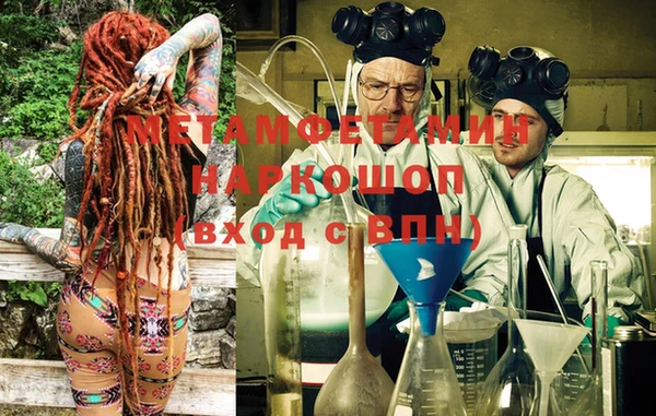 PSILOCYBIN Белокуриха