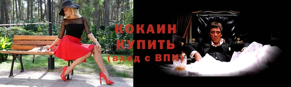 PSILOCYBIN Белокуриха