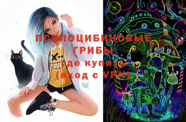 PSILOCYBIN Белокуриха