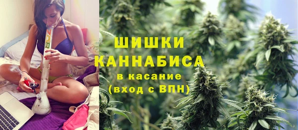 PSILOCYBIN Белокуриха