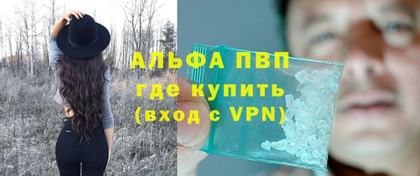 PSILOCYBIN Белокуриха
