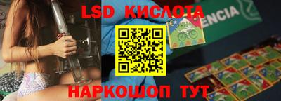 амф Кандалакша