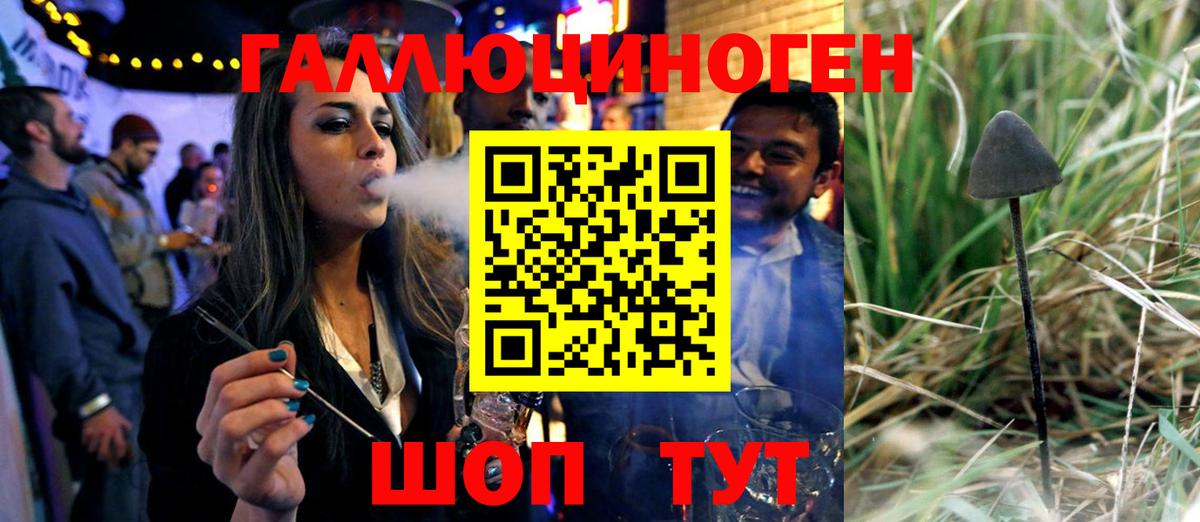 Малоярославец  Галлюциногенные грибы Magic Shrooms  Вход с VPN 