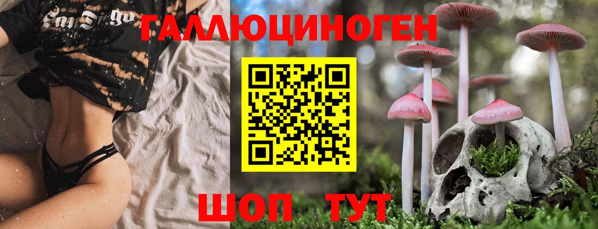 Псилоцибиновые грибы Cubensis Малоярославец