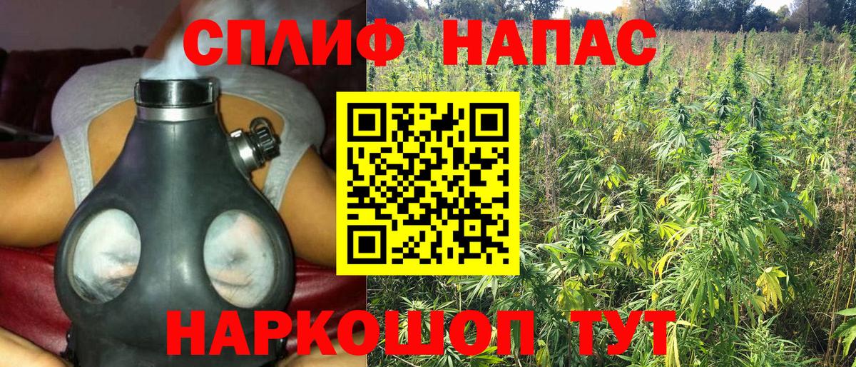 Бошки Шишки Малоярославец
